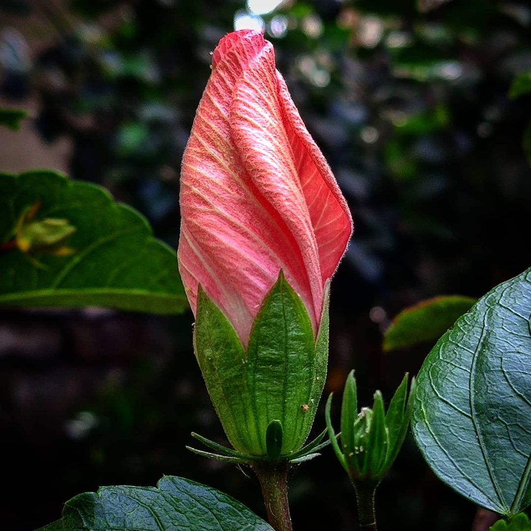 Photograph 10