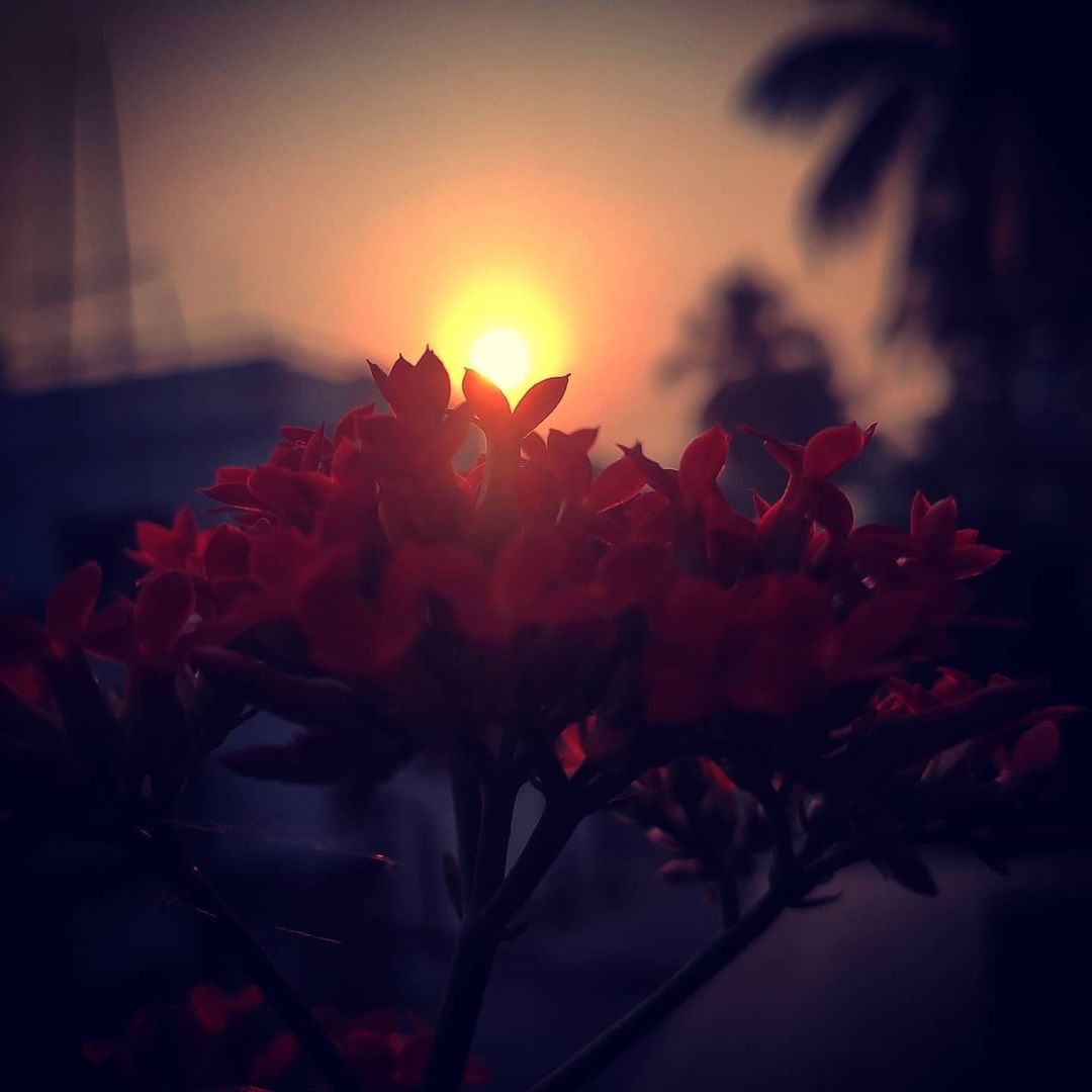 Photograph 9